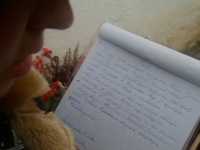 pushgory-2012-1