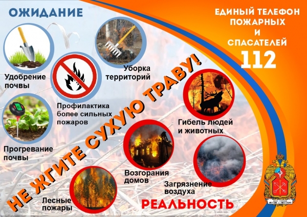 Информация от отдела надзорной деятельности Центрального района